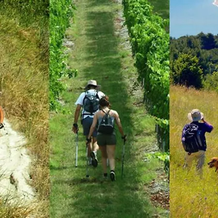 Conero Homes Daire Porto Recanati